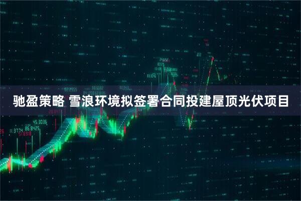 驰盈策略 雪浪环境拟签署合同投建屋顶光伏项目
