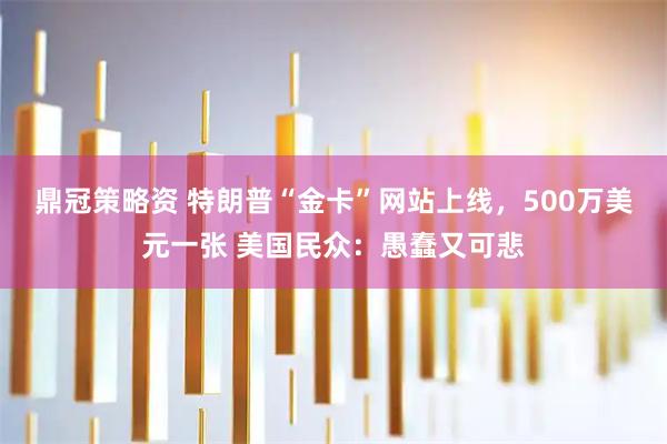 鼎冠策略资 特朗普“金卡”网站上线，500万美元一张 美国民众：愚蠢又可悲