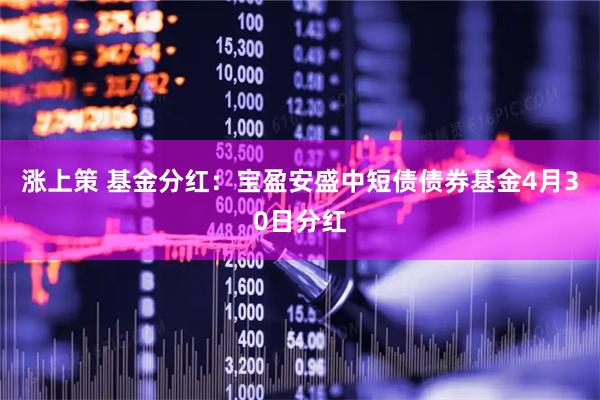 涨上策 基金分红：宝盈安盛中短债债券基金4月30日分红