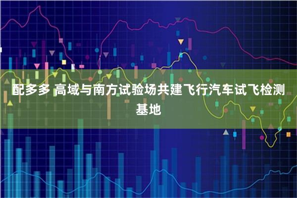 配多多 高域与南方试验场共建飞行汽车试飞检测基地