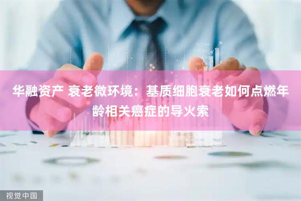 华融资产 衰老微环境：基质细胞衰老如何点燃年龄相关癌症的导火索
